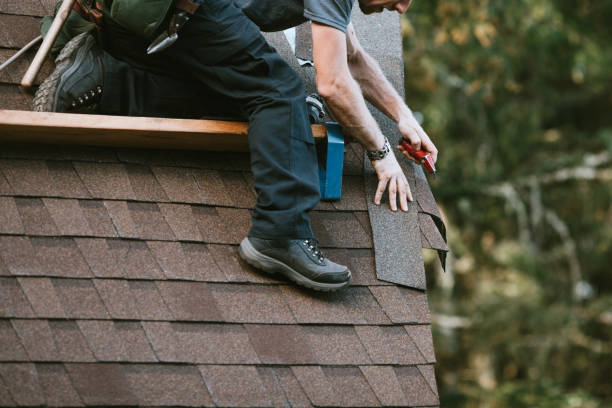 Best Emergency Roof Repair Services  in Flat Rock, NC